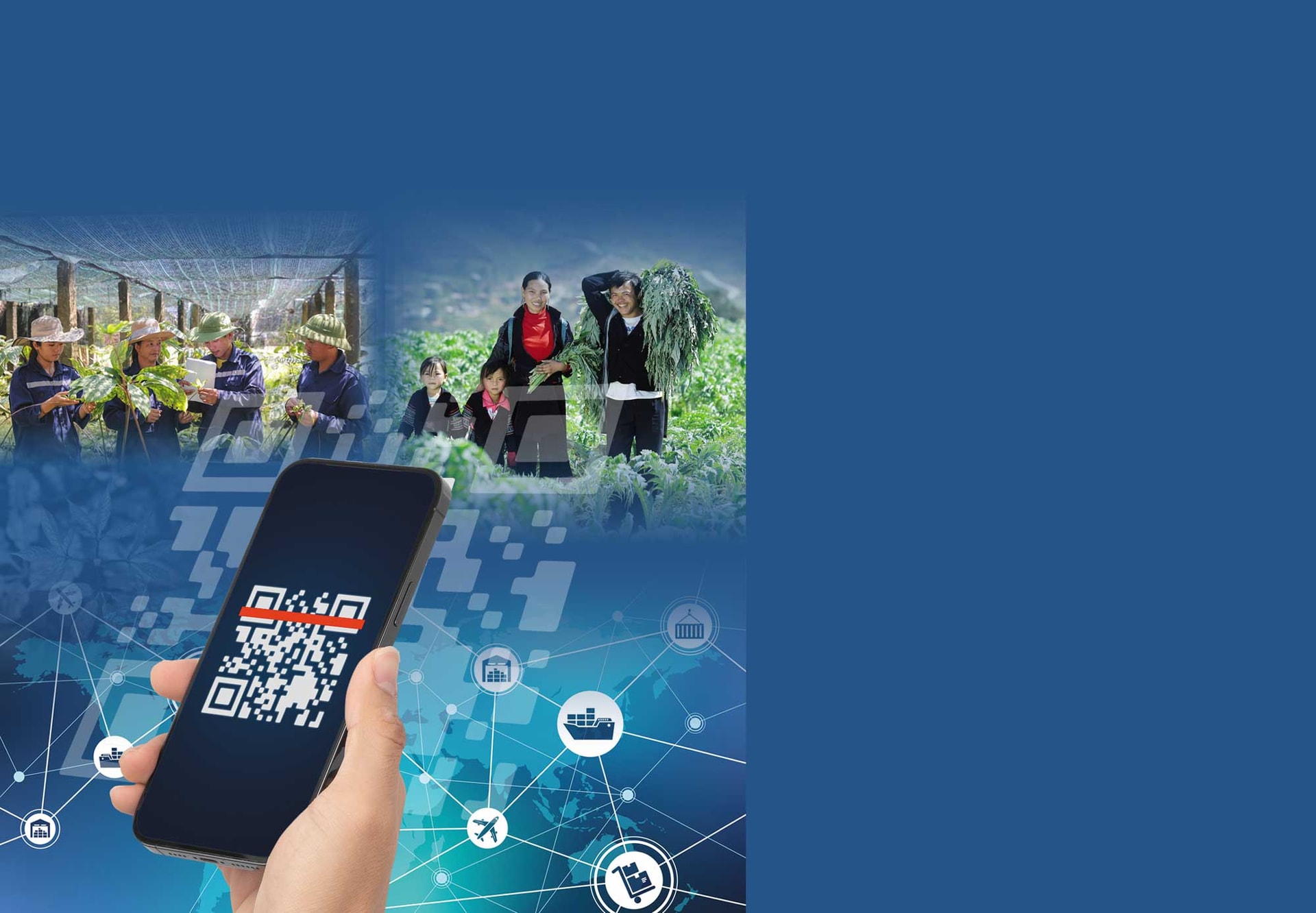 Phát triển dược liệu: Từ truy xuất nguồn gốc đến hình thành chuỗi giá trị