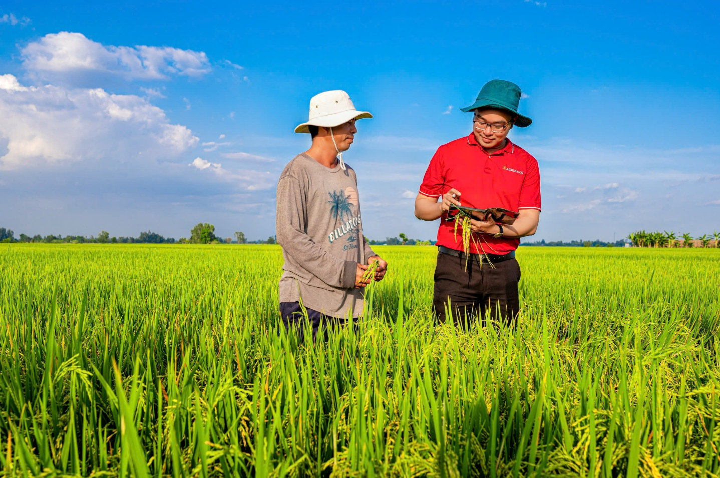agri3.jpg
