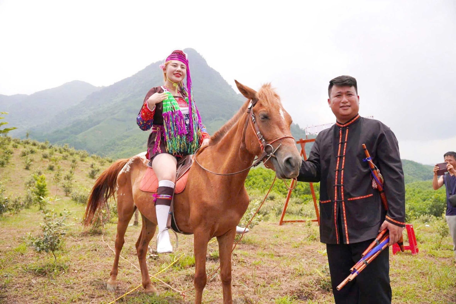 ngua-hai-son.jpg