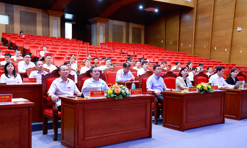 cac-dai-bieu-du-ky-hop-thu-7-hdnd-tinh.jpg
