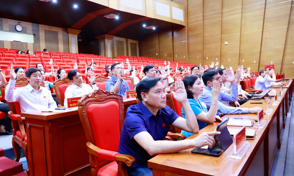 dai-bieu-hdnd-tinh-bieu-quyet-thong-qua-nghi-quyet-ky-hop-thu-7.jpg
