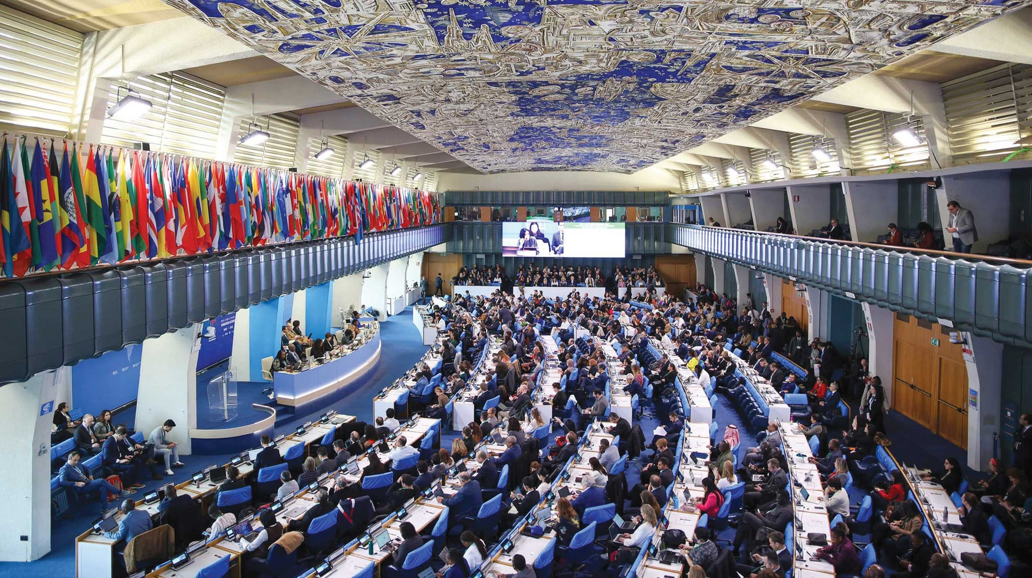c03.jpg