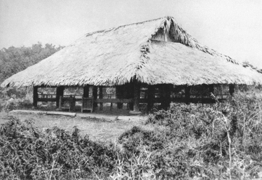 dinh tan trao