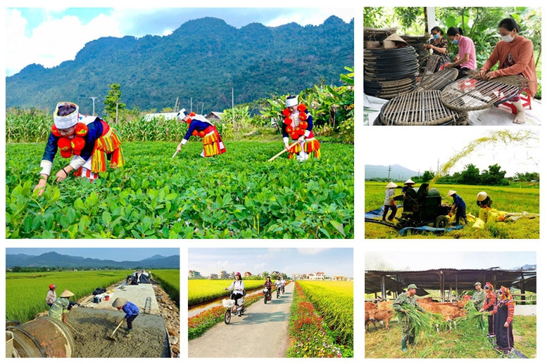 chuong-trinh-muc-tieu-quoc-gia.jpg