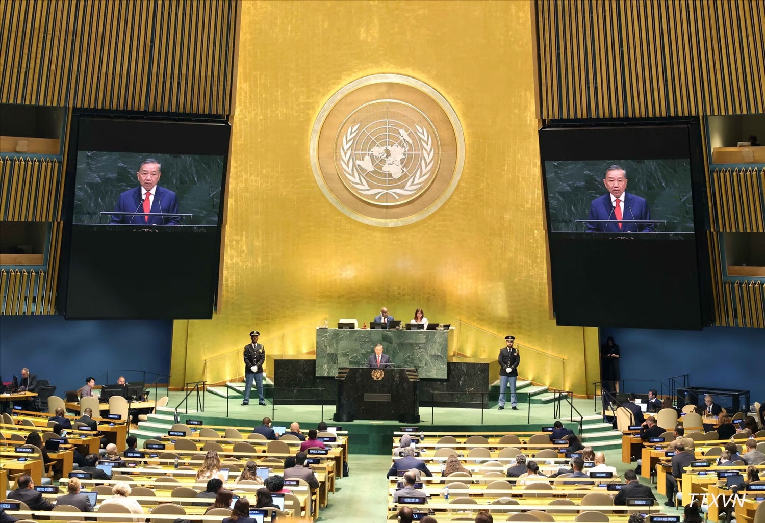 ctn1239.jpg