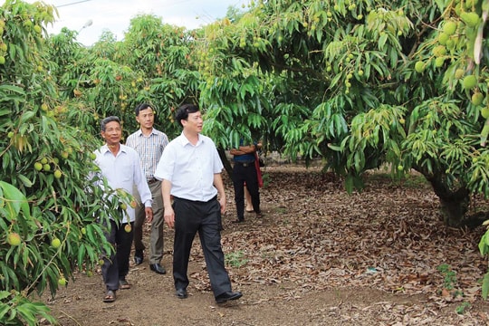 Người bí thư Huyện ủy  và ngọn lửa sáng tạo trên vùng cao nguyên nắng gió