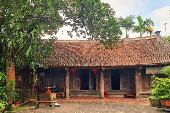 Miền hoa mai trắng