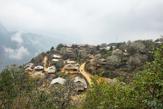 Nậm Nghẹp rực rỡ mùa hoa sơn tra