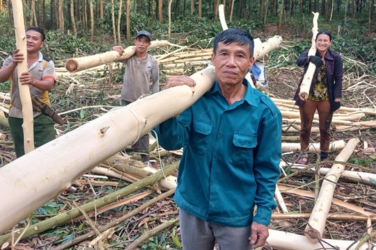 Vững vàng những “điểm tựa” bản làng Bài cuối: Từ quê cũ đến bản mới - “cuộc cách mạng vì dân”