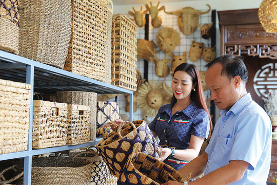 Những làng nghề làm cói ở Kim Sơn