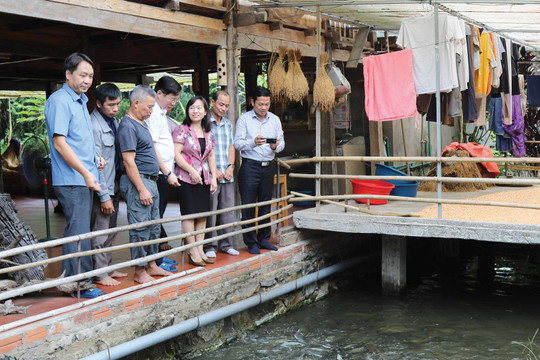 Tỉnh Hà Giang: Phát triển du lịch gắn với bảo tồn, phát huy giá trị văn hóa truyền thống các dân tộc