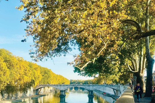 Rome không dành cho những bước chân vội vã...