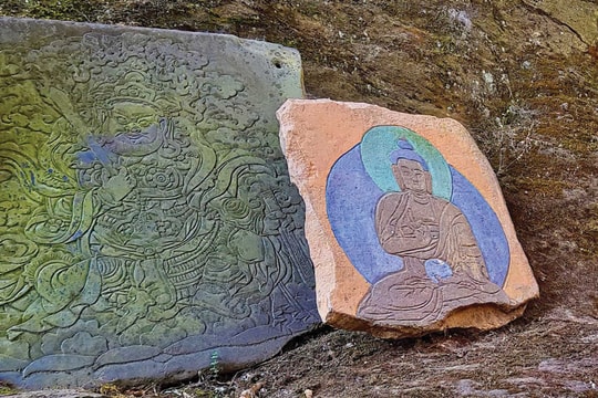 “Sắc hoa bí ẩn” quanh “nóc nhà thế giới”