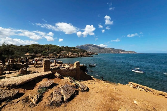 Lời chào Việt Nam từ Algeria