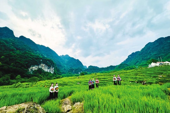 Bất ngờ 2 “khu phố đặc biệt” Nghèo và Khó làm du lịch