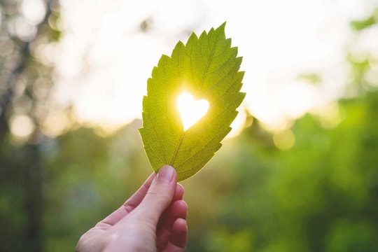 Hạnh phúc giản đơn