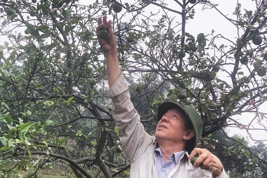 Những đảng viên tiêu biểu lặng lẽ giữa sống đời, sống đạo - ﻿Kỳ cuối: Khi tấm gương trở thành nỗi nhớ