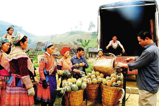 Trở lại Bản Lầu xanh tươi