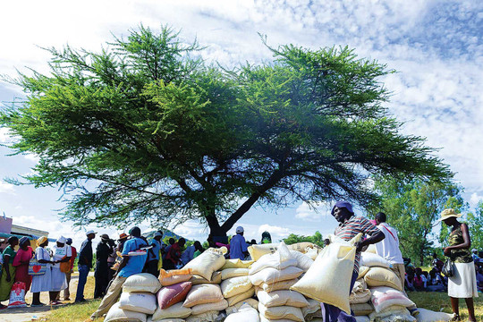 Khi chính con người phải trả giá