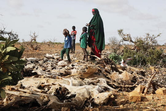 Tác động tới chính trị và an ninh thế giới