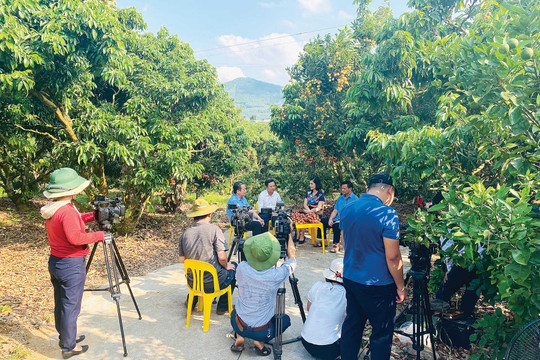 Báo chí và vai trò thúc đẩy phát triển kinh tế xanh