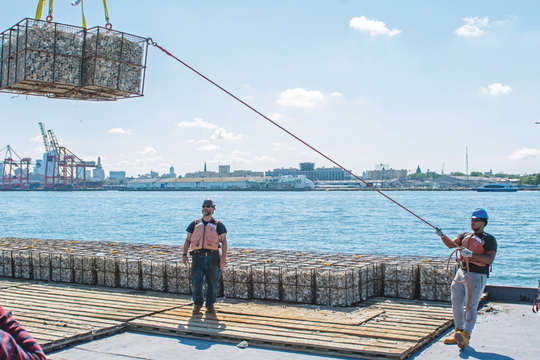 Nền kinh tế đại dương: Chỉ bền vững nếu điều hòa được lợi ích