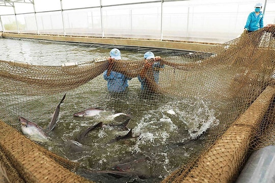 Lợi ích nền tảng - cơ sở then chốt đưa quan hệ song phương phát triển mạnh mẽ