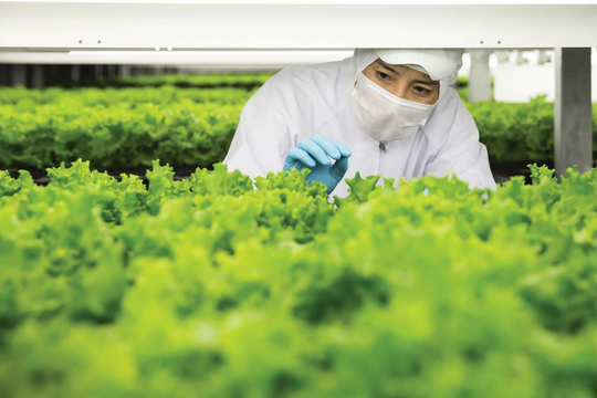 “Số hóa Xanh” tại hàn quốc: Biến nguy thành cơ