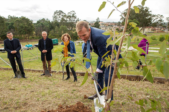 Trồng thêm cây bản địa: Giải pháp tự nhiên giảm sạt lở đất