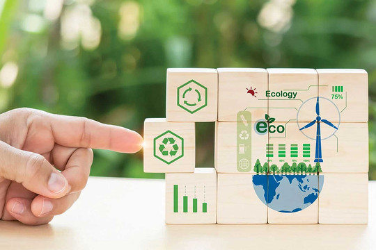 Quy định về thiết kế sinh thái của Liên minh châu Âu: Cơ sở thúc đẩy nền kinh tế xanh