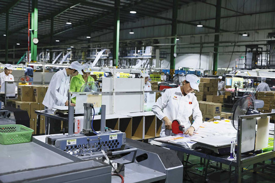 “Liều thuốc” hay cho giảm thiểu thất nghiệp