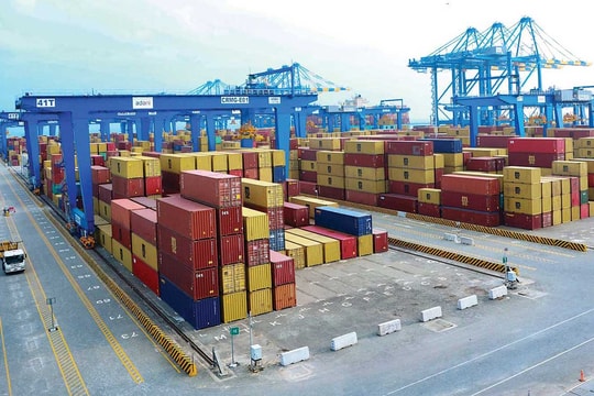 Ấn Độ trước làn sóng bảo hộ toàn cầu: Cơ chế thích ứng và giải pháp ứng phó