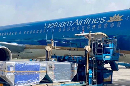 Vietnam Airlines tiếp tục vận chuyển miễn phí hàng hóa hỗ trợ đồng bào vùng lũ miền Trung