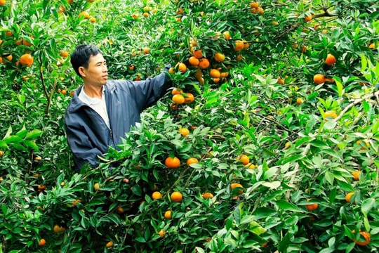 Quảng Ninh: Tận dụng tối đa lợi thế từ biển để phát triển bền vững