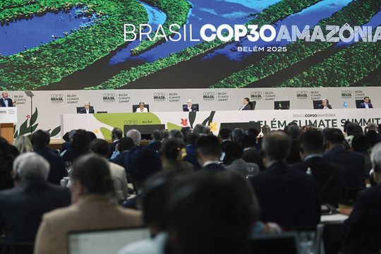 Tăng cường hợp tác quốc tế ứng phó với biến đổi khí hậu vì sự phát triển bền vững toàn cầu