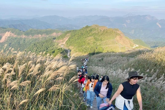 Quảng Ninh phát triển du lịch bền vững gắn với bảo tồn môi trường