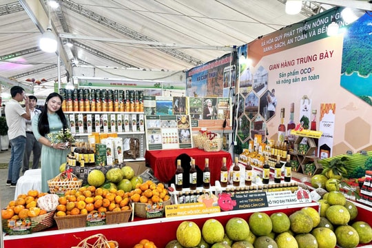 Xã Hóa Quỳ, tỉnh Thanh Hóa: Đạt nhiều kết quả trong phát triển văn hóa, giáo dục và y tế