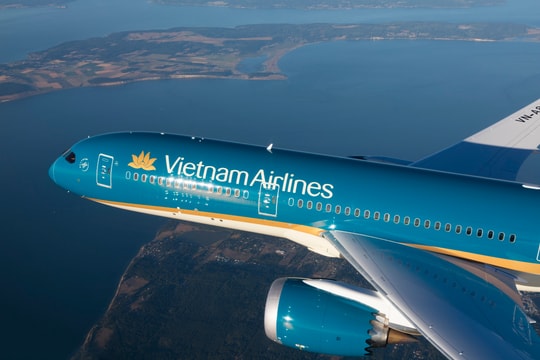 Vietnam Airlines: Doanh thu năm 2025 cao nhất lịch sử
