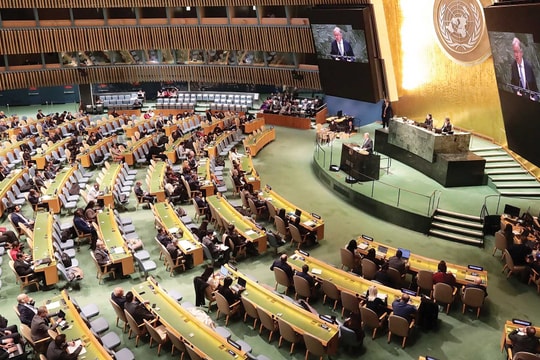 Liên hợp quốc: Nền tảng của hợp tác và phát triển trong một thế giới nhiều biến động