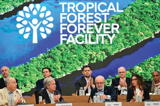 Chuyển đổi năng lượng và xu hướng tái phân bổ quyền lực toàn cầu