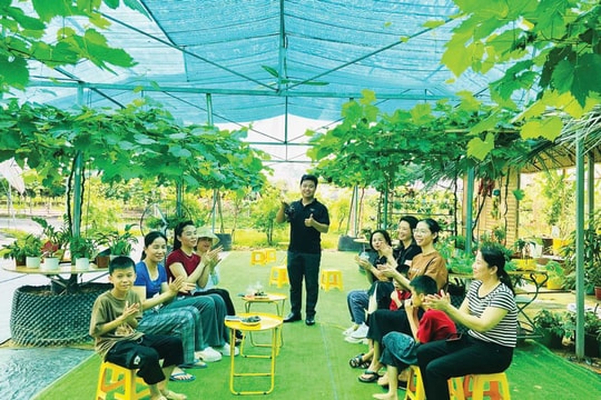 Xã Hải Lựu và Bình Tuyền (tỉnh Phú Thọ): Đất đã “chín” sau bao mùa nhẫn nại