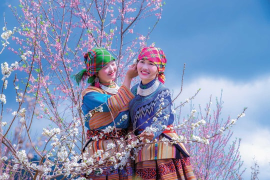 Miên man tết nhớ...