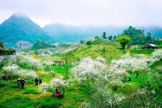 Thênh thang ngọn gió tháng giêng