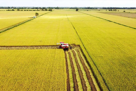 Nông nghiệp Việt Nam: Từ “trụ đỡ” an sinh đến “bệ phóng” phát triển