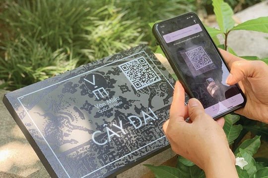 Từ bảo tồn tĩnh sang bảo tồn thích ứng: Lời giải từ những không gian sáng tạo chuyển đổi