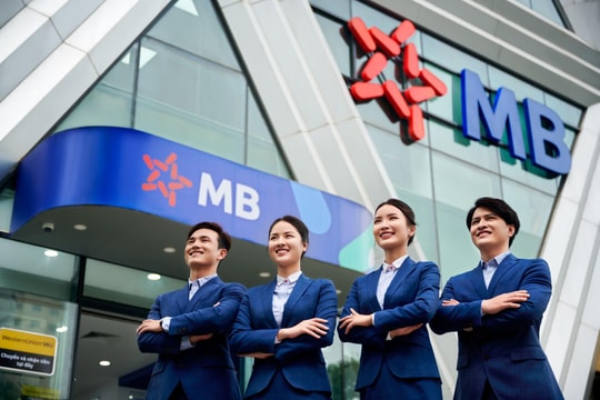 Từ dòng nước uống sạch đến dòng chảy yêu thương: “Cây Yêu Nước” MB – biểu tượng mới của tinh thần phụng sự cộng đồng