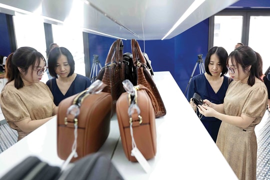 Bảo vệ bản quyền: “Chìa khóa” chiến lược hướng tới mục tiêu tăng trưởng 2 con số