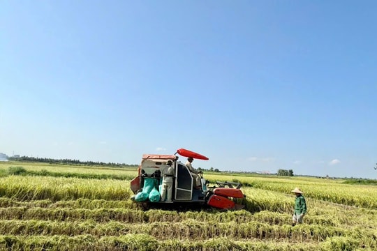 Xã Tân Minh (thành phố Hải Phòng): Khơi thông nguồn lực từ sự đồng thuận của nhân dân
