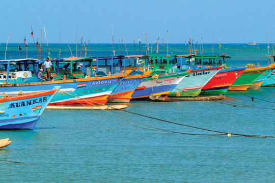 Cộng đồng an ninh, quốc phòng - “lá chắn” trên biển của Ấn Độ