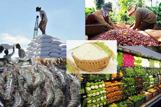 Những sự kiện kinh tế, chính trị và xã hội nổi bật trong tuần